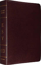 538581